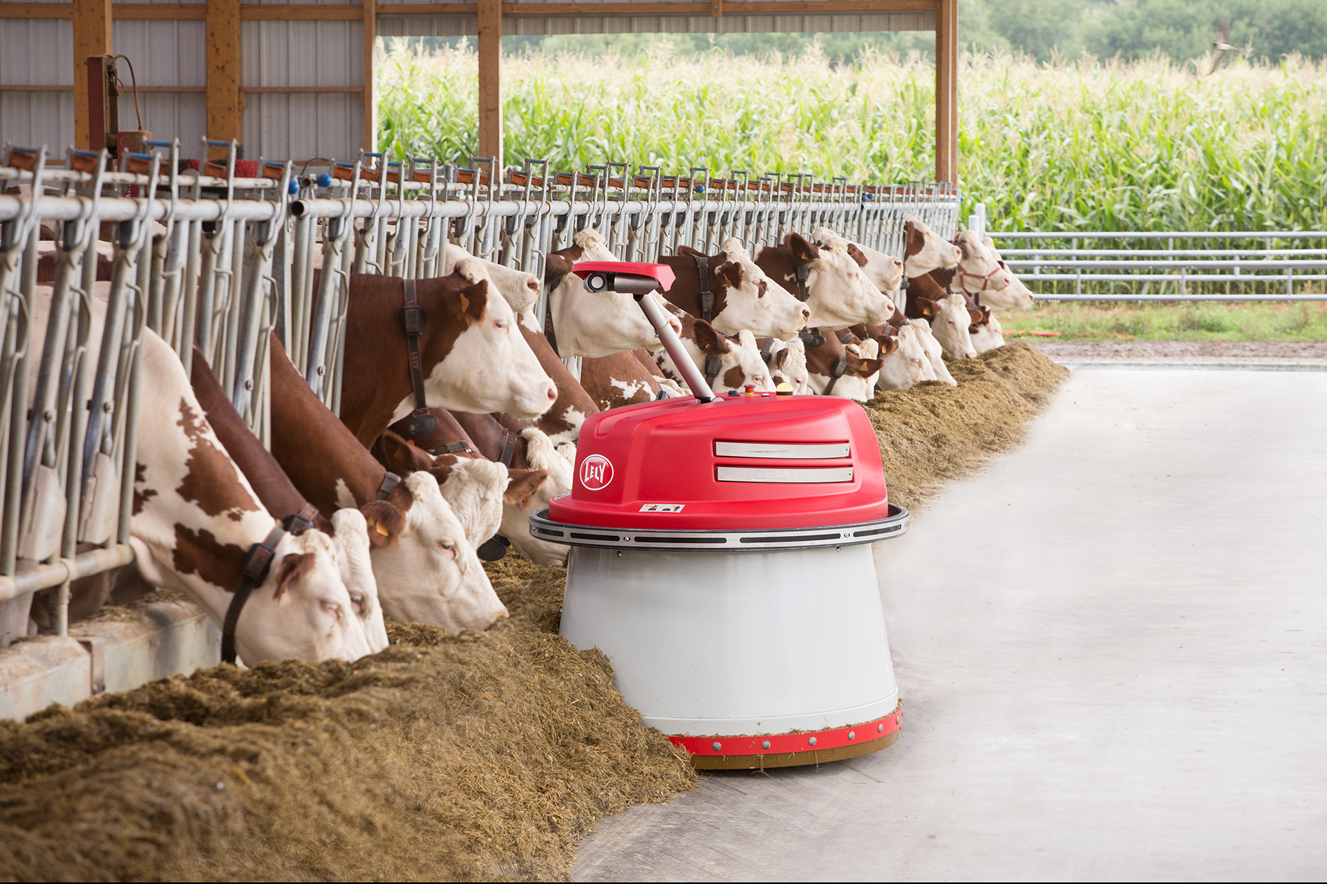 Аренда оборудования для молочного животноводства