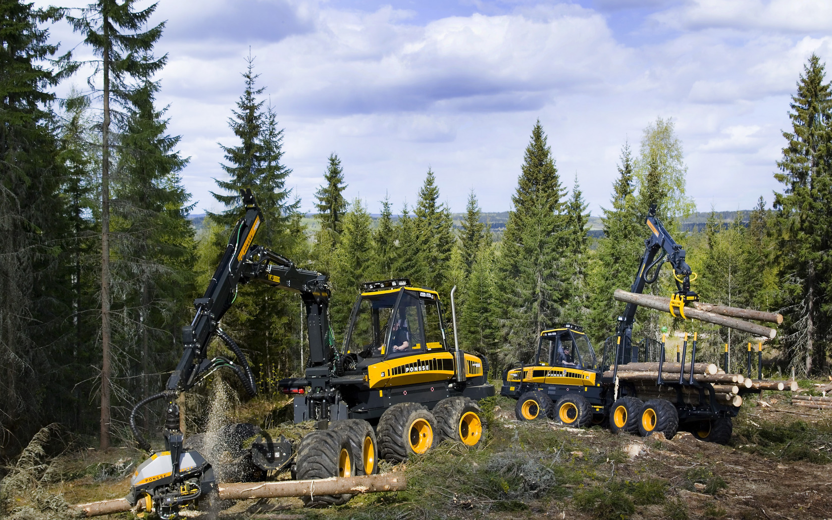 Аренда техники для уборки леса и лесопромышленных работ
