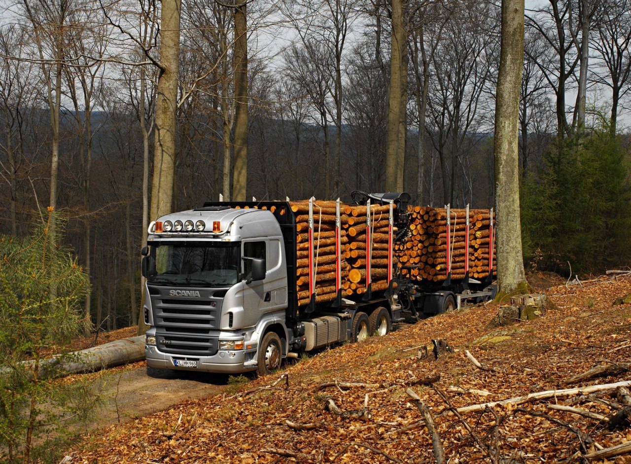 Аренда лесовоза для перевозки леса: преимущества перед покупкой