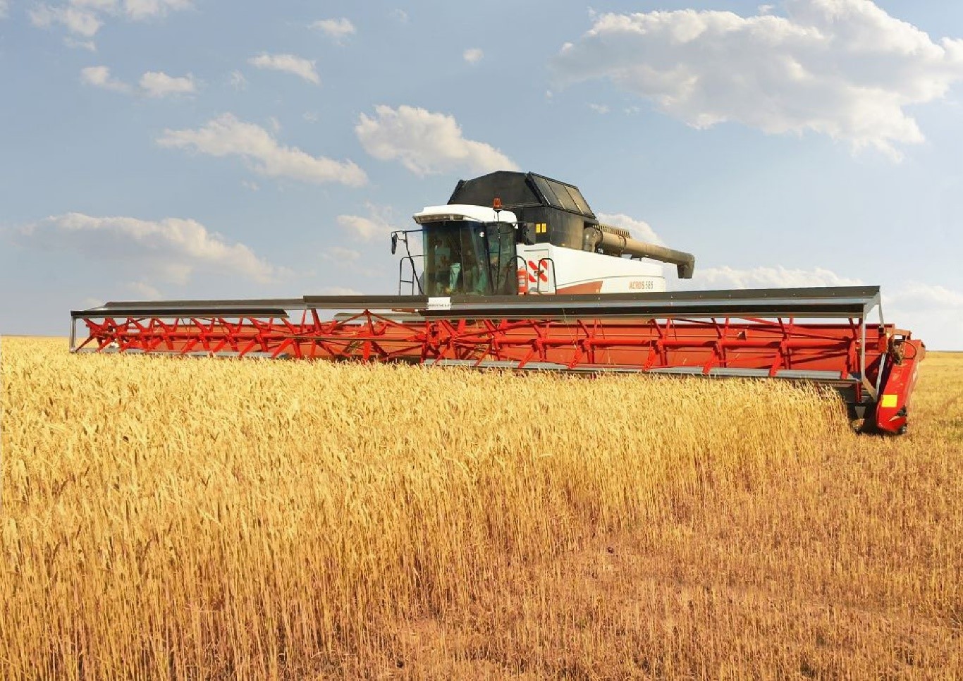 Аренда жатки для уборки зерновых: особенности и преимущества