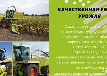 Услуги по уборке сенажа и силоса комбайнами Claas